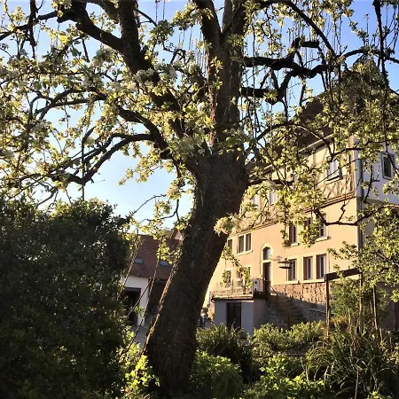 Beim Schloß Michel Lauda-Königshofen Exterior foto